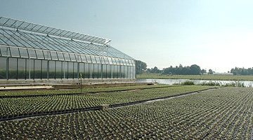 Agrarwirtschaft: Gartenbau